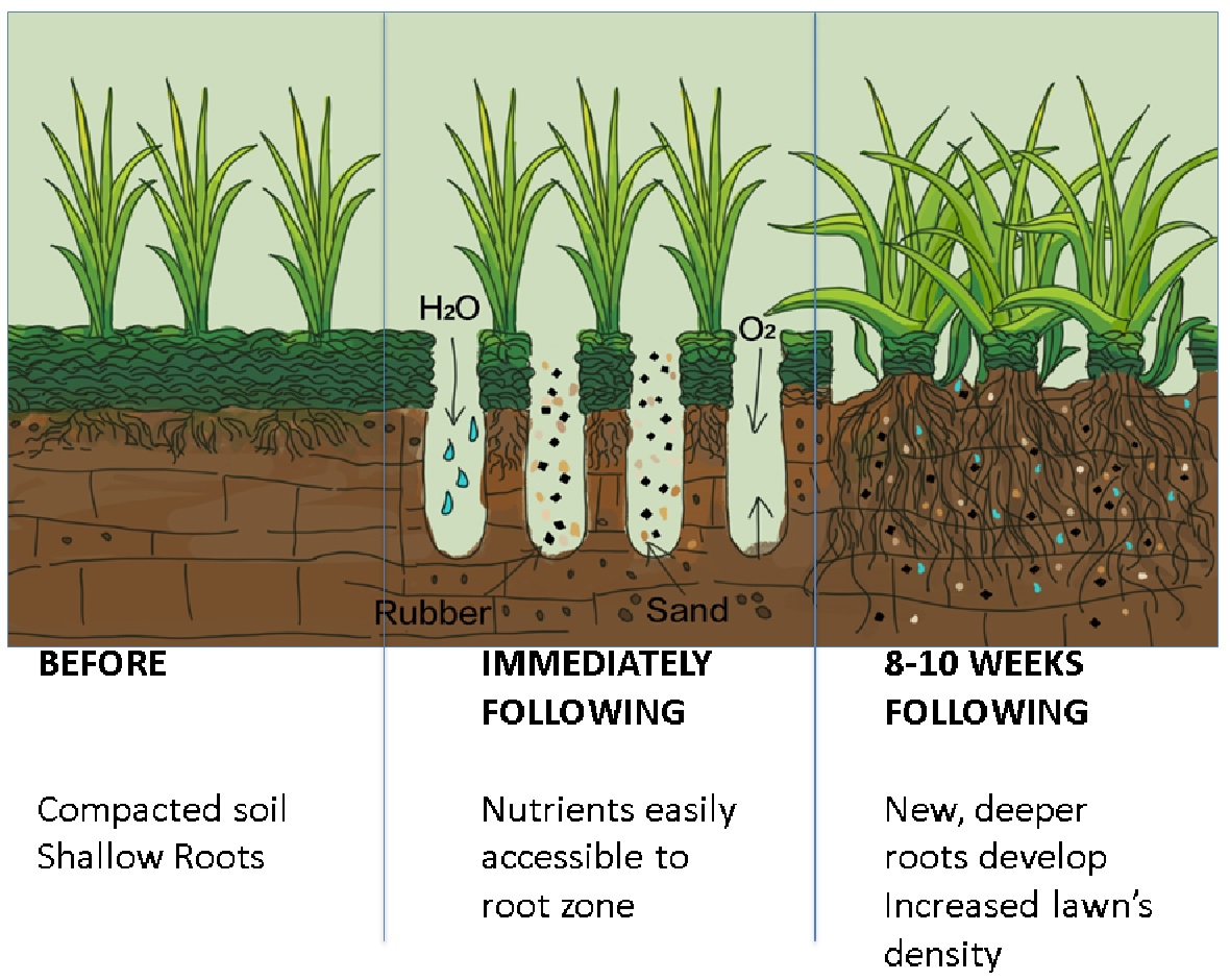 Drill and Fill Root Growth